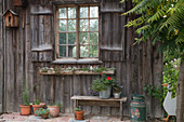 Wand-Element vom alten Gartenhaus als Sichtschutz an der Terrasse