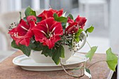 Arrangement of Hippeastrum and Hedera in gravy boat