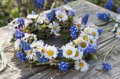 Kränzchen aus Muscari (Traubenhyazinthen), Bellis perennis