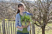 Woman with muscari siberica (grape hyacinth) in the basket