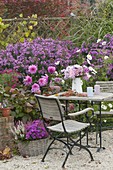 Autumnal gravel terrasse with small seating group on the flowerbed with aster