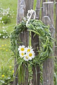 Maiengruen : Kranz geflochten aus Gräsern, dekoriert mit Leucanthemum