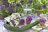 Table decoration of garlic and fennel