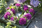 Scented wreath on zinc bowl, rose 'Rose De Resht'