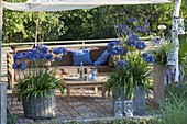 Terrace with awning in the late afternoon, Agapanthus in bucket