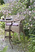 Kleiner Sitzplatz mit Korbsessel und Tisch am Beetrand, Anemone hupehensis