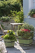 Green wooden buckets with vegetables and herbs