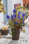 Lush bouquet of Aconitum, branches of Malus