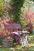 Rote Bank im herbstlichen Garten, Korb mit Herbstlaub