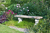 Stone bench in bed between Rosa (roses), Dianthus barbatus (bearded carnations), Heuchera (purple bellflower), cushion phlox as ground cover under bench