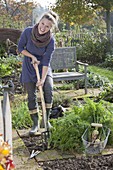 Frau erntet weiße Karotten im Biogarten