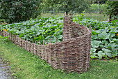 Decorative bedding made of wicker, with pumpkins growing behind it
