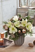 Christmas bouquet of white Hippeastrum, Pinus branches