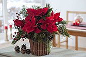 Christmas bouquet in vase with cinnamon sticks