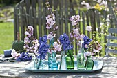 Small bottles with branches of Prunus and Hyacinthus