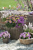 Baskets of perennials and spring flowers on gravel terrace