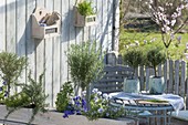 Terrasse mit bepflanzten Euro-Paletten als Sichtschutz