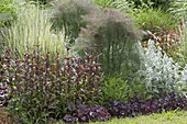 The different colors and structures of perennials, grasses