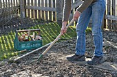 Prepare soil before sowing vegetables