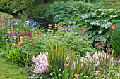 Wasserfall mit Candelabra Primula und Astilbe