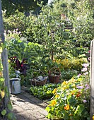 Bauerngarten im Spätsommer mit Obst, Gemüse und Sommerblumen