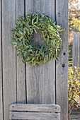 Eucalyptus branches wreath hung on board wall