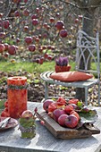 Herbstliche Tischdeko beim Apfelbaum