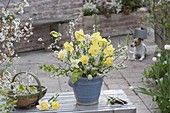 White-yellow bouquet of Narcissus, Prunus spinosa