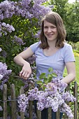 Woman cutting lilac in spring garden