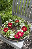 Wreath in copper bowl with water, Rosa 'Scarlet Glow'