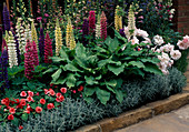 Bed with lupins, hosta, filled impatiens