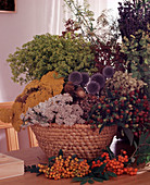 Still life with various dried plants