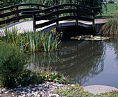 Eine Brücke Führt Über Den Teich