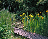 Path shaped with sloping wooden boards