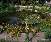 Pond with natural stone wall