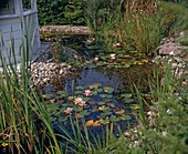 Pond with pavilion