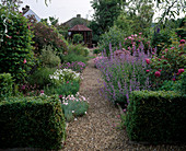 Blick auf Sommerhaus mit Dianthus (Nelken), Nepeta (Katzen- minze) und Rosen neben dem Weg