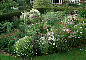 Eryngium (Edeldistel), Campanula (Glockenblume), Lychnis (Vexiernelke), Rosa 'Pink Bells' (Rosen), Philadelphus 'Boule d'Argent' (Pfeifenstrauch, Bauernjasmin), Digitalis (Fingerhut), Beet eingefasst mit Hecke, rustikale Holzbank