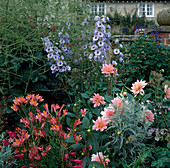 Delphinium (Rittersporn), Dahlia (Dahlie), Alstroemeria (Inkalilie)