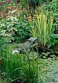 Kleiner Teich mit Frosch, Wasserlilien und Iris am Teichrand