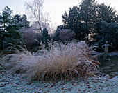 Gräser neben Teich und Statue, Herbstlaub auf dem gefrorenen Rasen