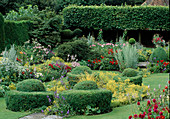 Bunter Garten mit Buxus (Buchs-Topiary), Dahlia (Dahlien) Alchemilla (Frauenmantel), Gräsern