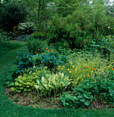 Schattengarten mit Meconopsis cambrica (Scheinmohn), Trollius (Trollblumen), Hosta (Funkien), Farn, Gräsern und Sträuchern