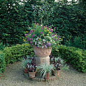 Terrakotta-Behälter auf Podest mit bunter Sommerblumen-Bepflanzung