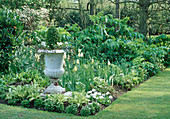 Steinurne umgeben von Tulpen, Hosta (Funkie), Blättern von Angelika archangelica in weißem Garten