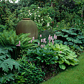 Polygonum bistorta 'Superbum' (Knöterich) und Hosta 'Gold Standard' (Funkie) um Steintopf