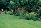 Rasen und Staudenbeet mit Philadelphus (Sommerjasmin) und Sisyrinchium striatum (Binsenlilie)