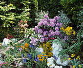 Rhododendron Bedding