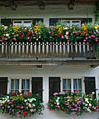 Upper Bavarian house with balcony ornaments
