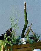 Container planted with grasses and ferns